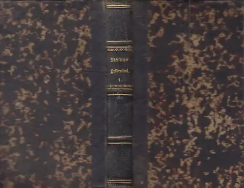 Buch: Fürstlich-Sächsischer Helden-Saal, Sigmund v. Birken, Hoffmann, 1718