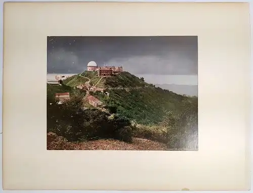 Foto: Pepper Trees of California; Lick Observatory, Mt. Hamilton. Detroit Photo