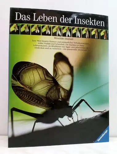 Buch: Das Leben der Insekten. Imamori, Mitsuhiko, 1992, Ravensburger Verlag
