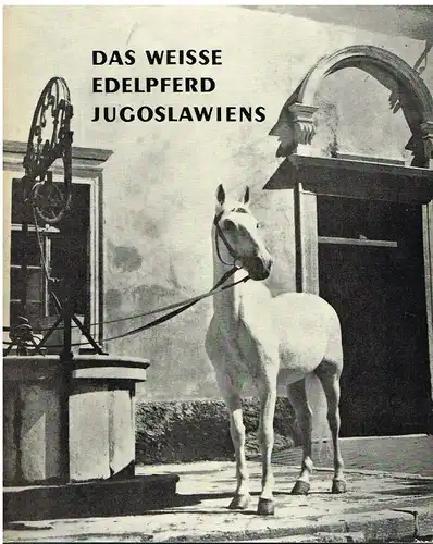 Buch: Das weisse Edelpferd Jugoslawiens, Bencevic, Zvonko / Ivan Brlic. 1968