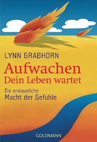 Buch: Aufwachen - Dein Leben wartet, Grabhorn, Lynn, 2004, Goldmann Verlag