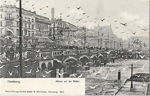 AK Hamburg. Möven auf der Alster. ca. 1905, Postkarte. Serien Nr, ca. 1905
