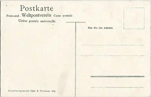 AK Hamburg. Möven auf der Alster. ca. 1905, Postkarte. Serien Nr, ca. 1905