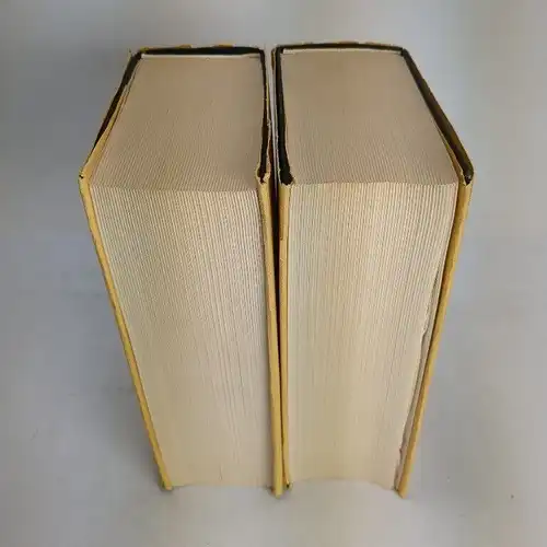 Buch: Der Jüngste Tag, Die Bücherei einer Epoche, 2 Bände, 1970, Scheffler Vlg.