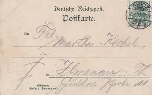 AK Greiz. Partie aus dem Fürstl. Park. ca. 1909, Postkarte. Ca. 1909