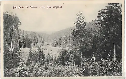 AK Bad Berka bei Weimar. Der Dambachgrund. ca. 1915, Postkarte. Ca. 1915