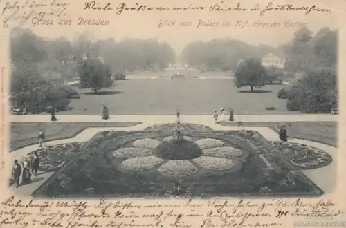 AK Gruss aus Dresden. Blick vom Palais im Kgl. Grossen Garten. ca... Postkarte