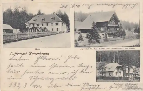 AK Luftkurort Kaltenbronn. Hotel. Jagdhaus. Forsthaus. ca. 1905, Postkarte