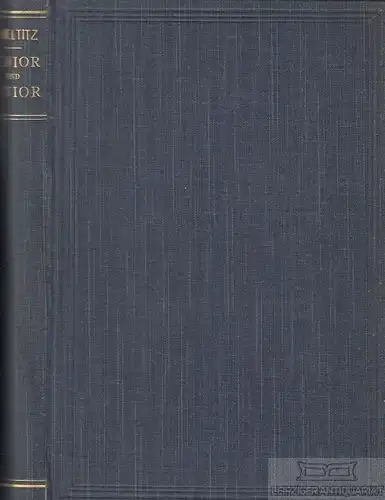 Buch: Senior und Junior, Zobeltitz, Hanns von. 1896, Hermann Costenoble, Roman