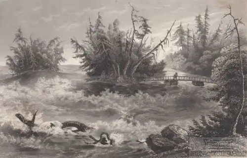 The Rapids of the Niagara (Ueber den Fällen). aus Meyers Universum, Stahlstich
