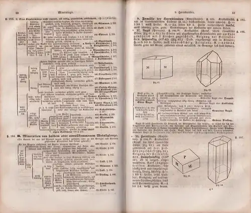 Buch: Analytischer Leitfaden, Erstes bis drittes Heft, Joh. Leunis, 1852, Hahn