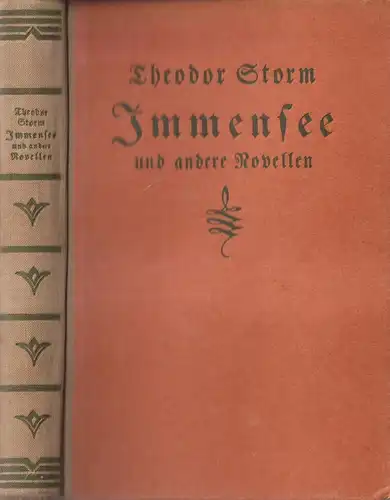 Buch: Immensee und andere Novellen. Theodor Storm, Martin Maschler Verlag