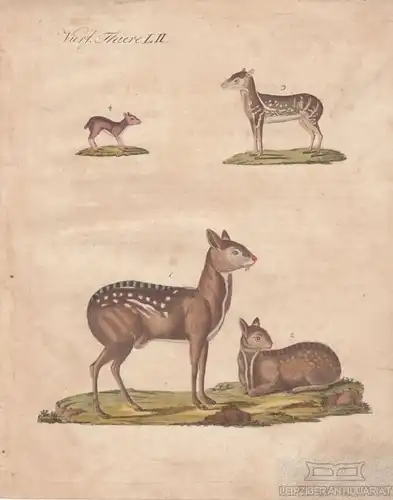 Vierf. Thiere. Tafel LII. Rehe, Kupferstich, Bertuch. Kunstgrafik, 1805