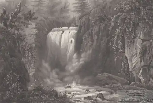 Wasserfall bei Geroldsau unfern Baden-Baden. aus Meyers Universum, Stahlstich