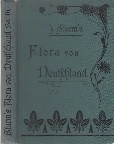 Buch: J. Sturm's Flora von Deutschland, Band 10, 1903, K. G. Lutz Verlag