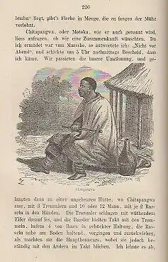 Buch: Letze Reise von David Livingstone in Centralafrika 1865 -1873, Livingstone