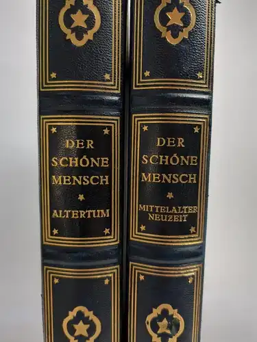 Buch: Der Stil in den bildenden Künsten aller Zeiten, 3 in 2 Bänden, 1922, Hirth