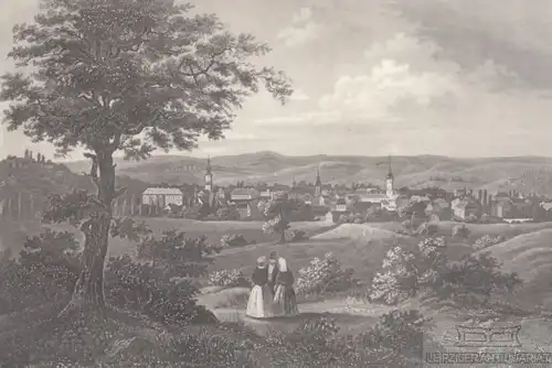 Weimar. aus Meyers Universum, Stahlstich. Kunstgrafik, 1850, gebraucht, s 264612