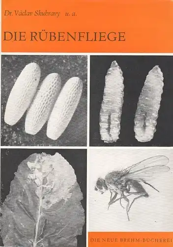 Buch: Die Rübenfliege, Skuhravy, Vaclav. Die Neue Brehm-Bücherei, 1967