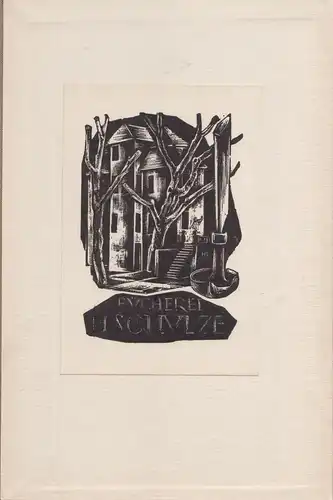 Buch: Der Briefwechsel Friedrich und Dorothea Schlegels, Finke, H. (Hg.), 1923