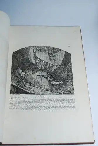 Buch: Zwei Illustrationsfolgen in einen Bande gebunden, Ridinger, Johann Elias
