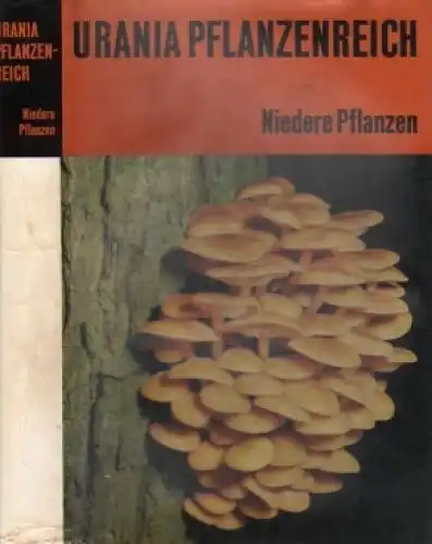 Buch: Urania Tierreich und Pflanzenreich. Niedere Pflanzen, Danert. 1974