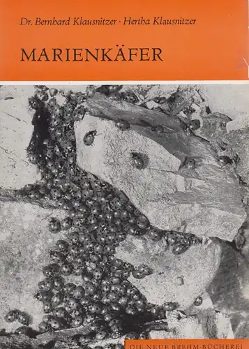 Buch: Marienkäfer. Klausnitzer, Bernhard & Hertha, 1979, Die Neue Brehm-Bücherei