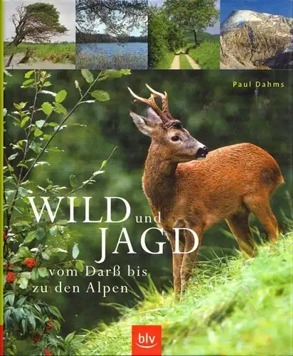Buch: Wild und Jagd, Dahms, Paul. 2005, BLV Buchverlag, gebraucht, gut