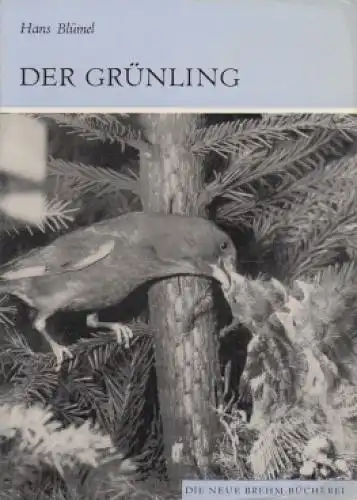 Buch: Der Grünling, Blümel, Hans. Die Neue Brehm-Bücherei, 1976, gebraucht, gut