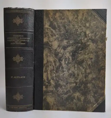 Buch Gesenius Hebräisches und Aramäisches Handwörterbuch über das Alte Testament
