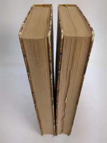 Buch: Hans Sachsens ausgewählte Werke 1+2, Insel Verlag, 1911, 2 Bände