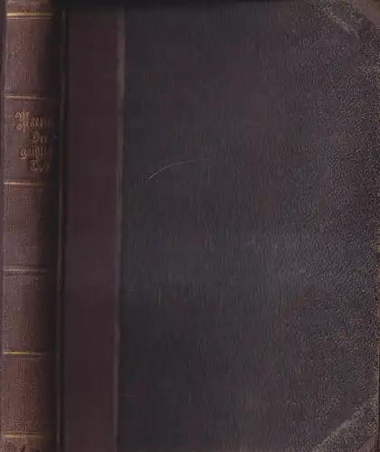 Buch: Der geistliche Tod, Roman, Emil Marriot, 1888, F. & P. Lehmann