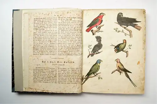 Buch: Naturgeschichtliche Unterhaltungen 2 - Vögel, ca. 1800, Carl Fr. Stuckart