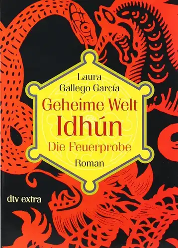 Buch: Geheime Welt Idhun: Die Feuerprobe, Gallego Garcia, Laura, 2007, dtv