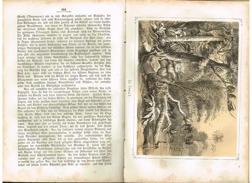 Buch: Des Knaben Lust und Lehre. Zweiter Band. 1858, Verlag Carl Flemming