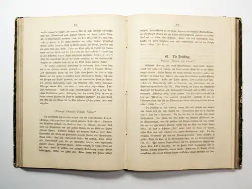 Buch: Naturgeschichte der wirbellosen Thiere, Taschenberg, E. L. 1865
