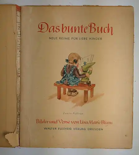 Buch: Das bunte Buch, Lisa-Marie Blum, Walter Flechsig Verlag, Kinderbuch