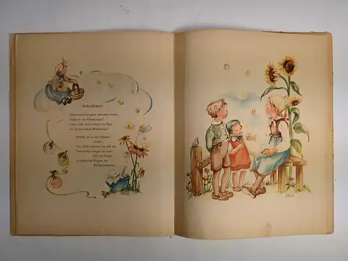 Buch: Das bunte Buch, Lisa-Marie Blum, Walter Flechsig Verlag, Kinderbuch