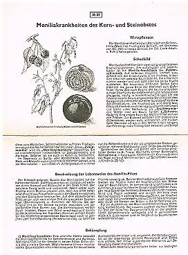 Buch: Kartei für Pflanzenschutz und Schädlingsbekämpfung, Mühle, Erich. 1953