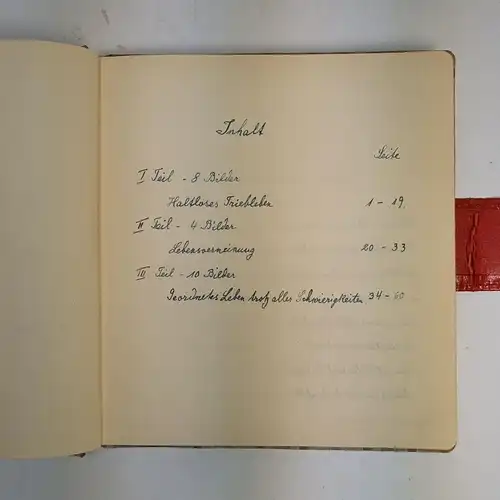 Buch: Helga oder die drei letzten Nächte, Brokus, Heinrich, 1953, Handschrift