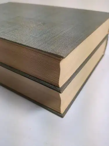 Buch: Ästhetik, 2 Bände, Georg Wilhelm Hegel, Europäische Verlagsanstalt