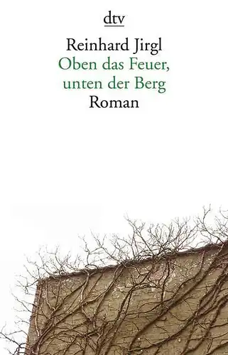 Buch: Oben das Feuer, unten der Berg, Jirgl, Reinhard, 2017, dtv, Roman