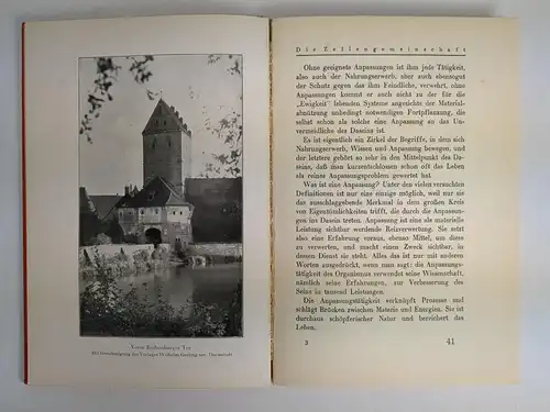 Buch: Dinkelsbühl, Der Weg der Kulturen, Raoul France, 1928, Dürr & Weber