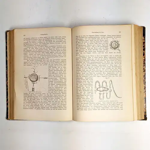 Buch: Praktische Handbuch der Chirurgie, 2 Bde, J. E. Erichsen, 1864, Hirschwald