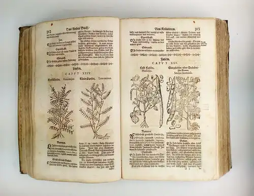 Buch: Neu Vollkommenes Kräuter-Buch, Verzascha, Bernhard. 1678
