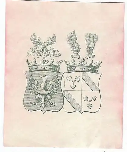 Original Kupferstich-Wappen: Heraldik - 2 Wappen, Helm und Adler, gebraucht, gut