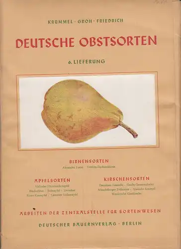 Buch: Deutsche Obstsorten- 6.Lieferun, Krümmel / Groh / Friedrich, 1958, gut