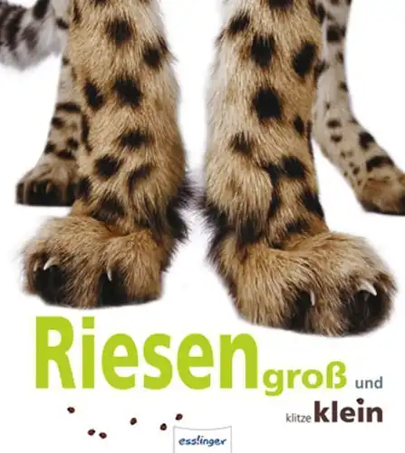 Buch: Riesengroß und klitzeklein, Rebiscoul, Valerie, 2011, Esslinger, gebraucht