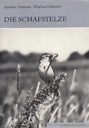 Buch: Die Schafstelze, Dittberner, Hartmut / Dittberner, Winfried. 1984