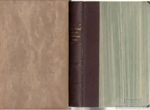 Buch: Die Amsel ist ein Frühlingsvogel, Mstislawski, S. 1951, Verlag Neues Leben